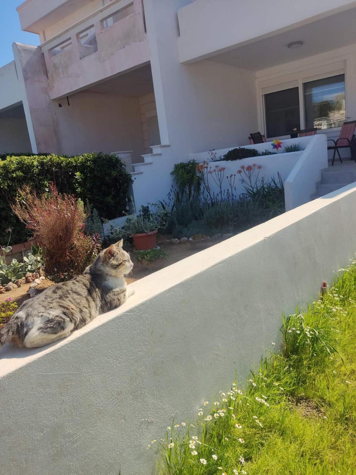 Katerina Summerhouse Δασκαλειό Εξωτερικό φωτογραφία